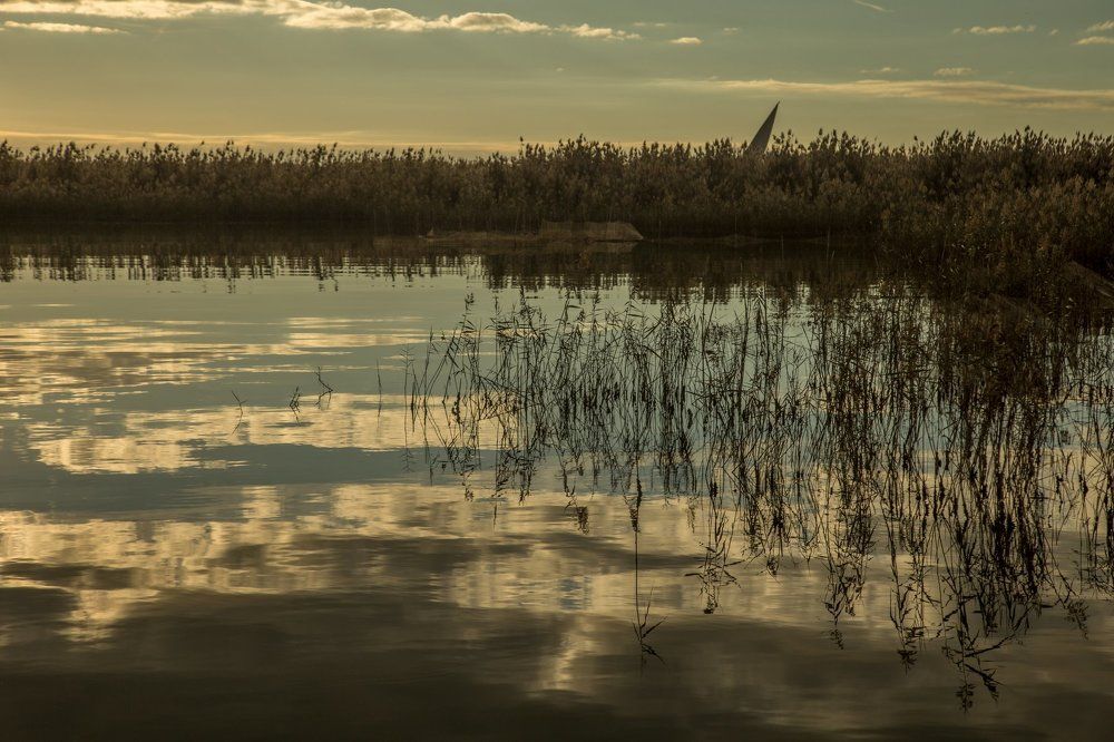 Water Reflection in SunRise