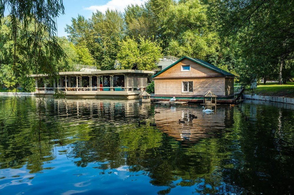 Лебединый дом