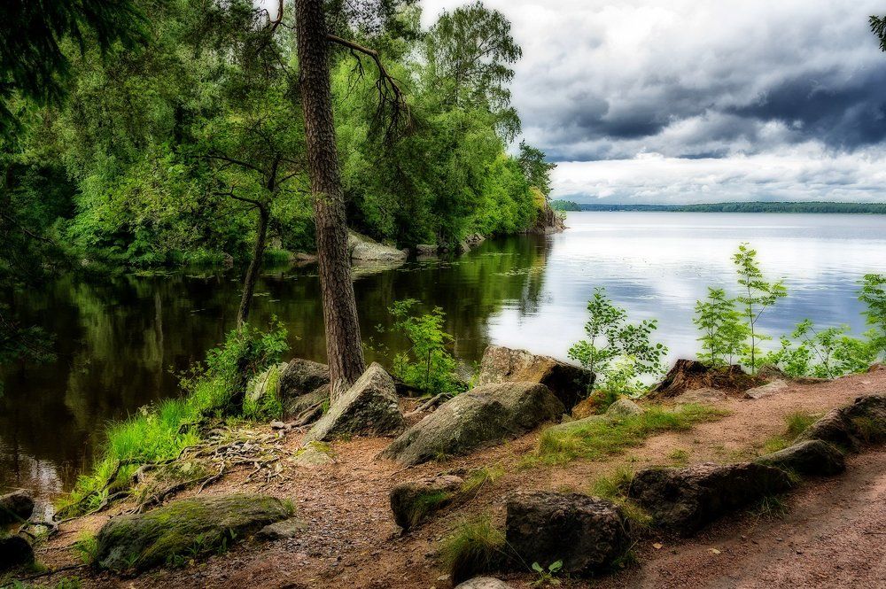 Парк Монрепо