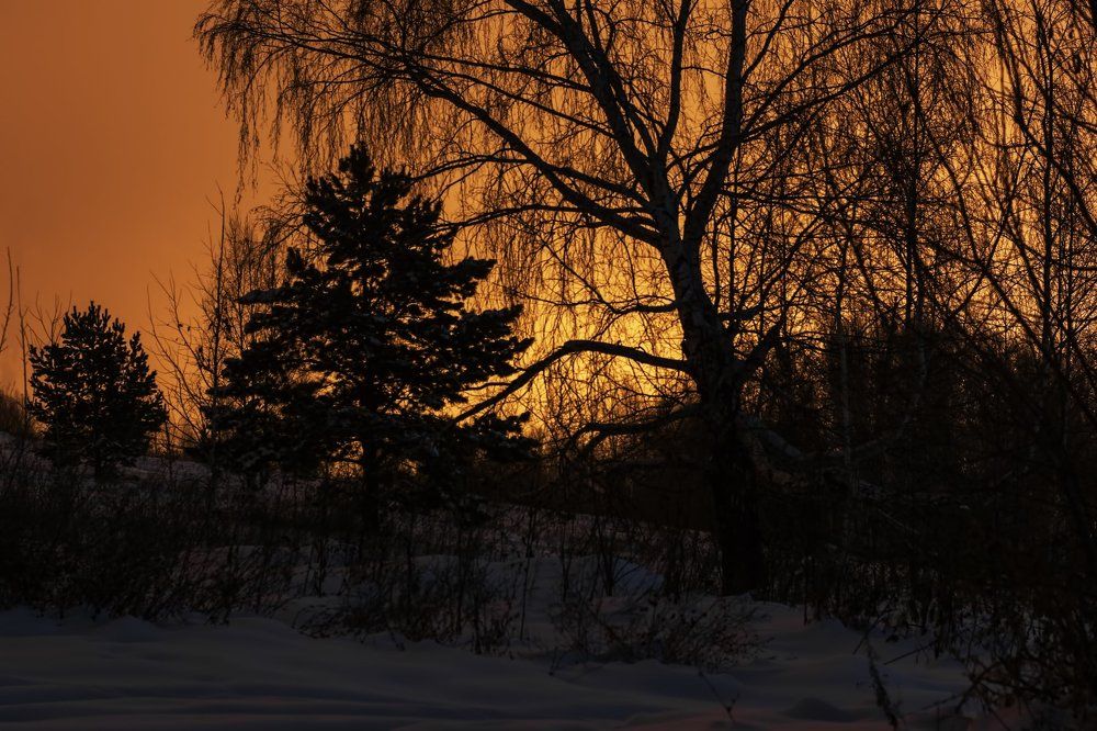 Photograph by Владимир Янчук