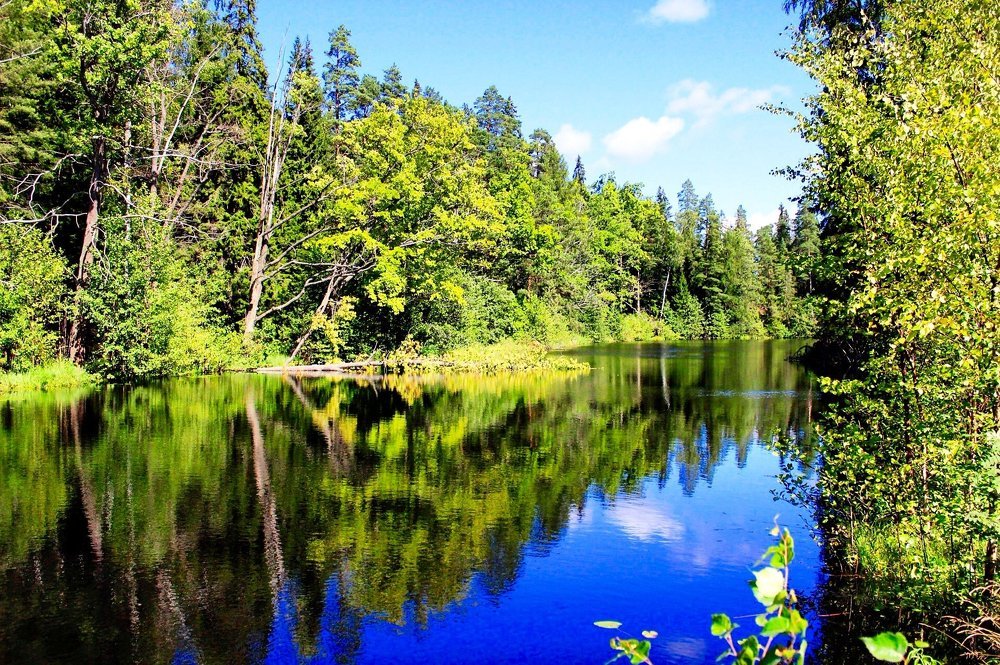 Коневские озёра