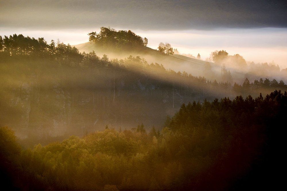 First lights of the day