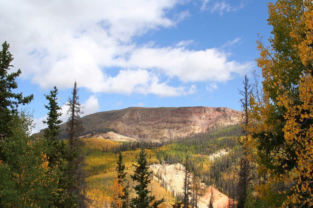 Осенние краски штата Колорадо.