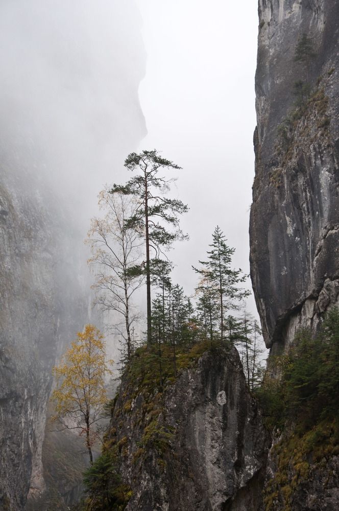 В горах Румынии