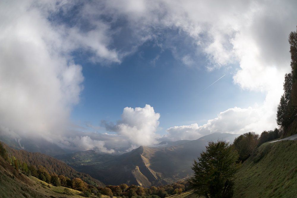 Pyrenean Grasp