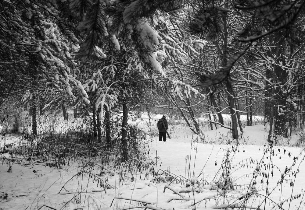 Однажды, в студеную зимнюю пору ...