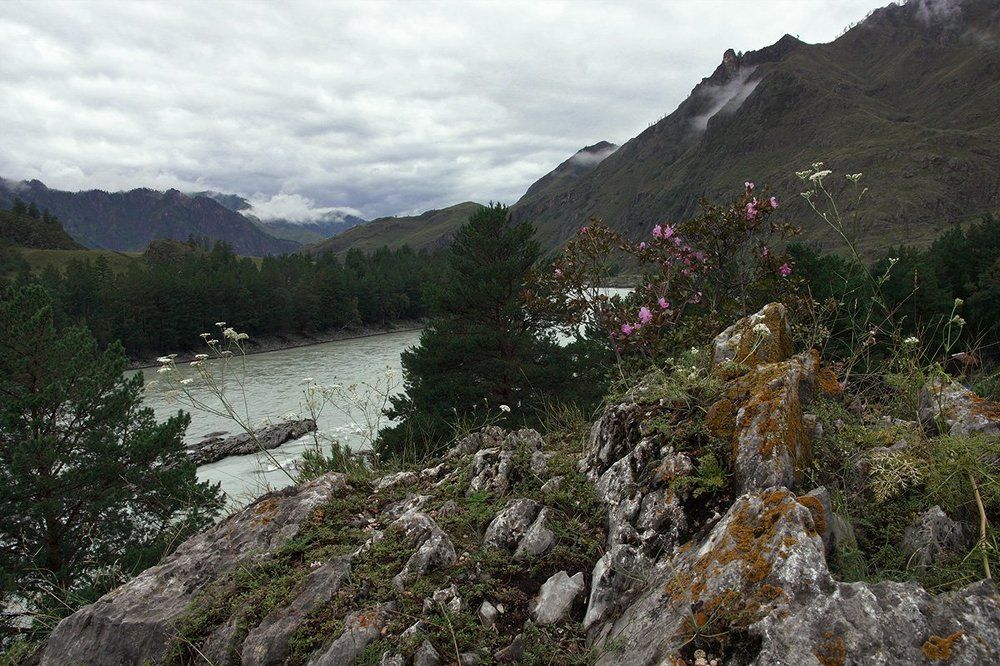 В долине Катуни (Алтай)