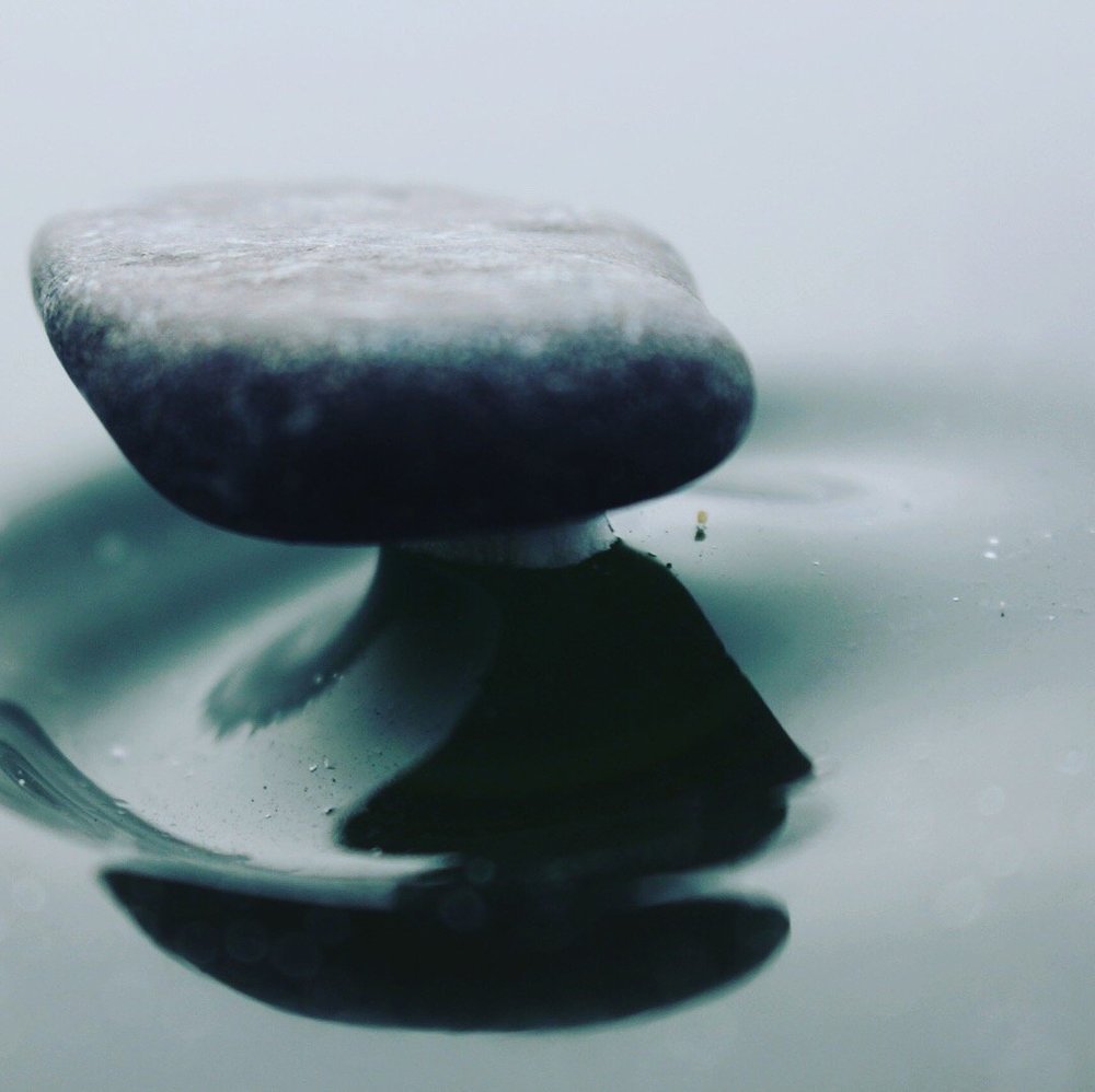 Застывшее мгновение