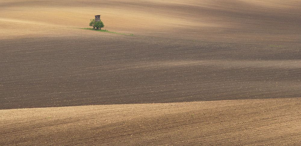Моравский минимализм