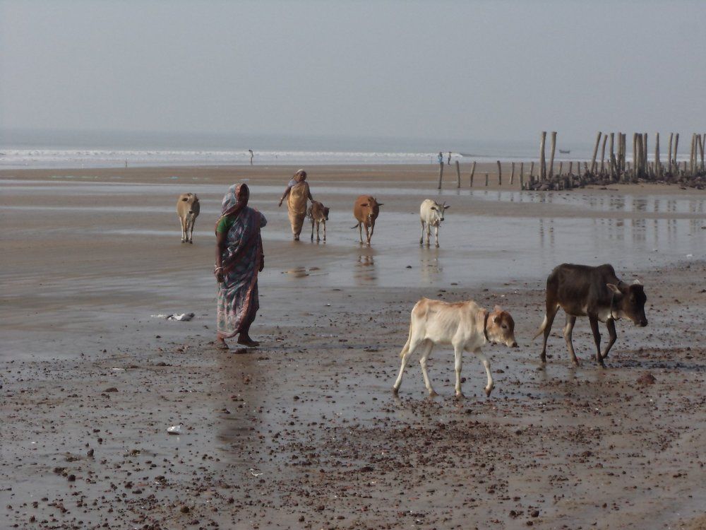 Incredible India