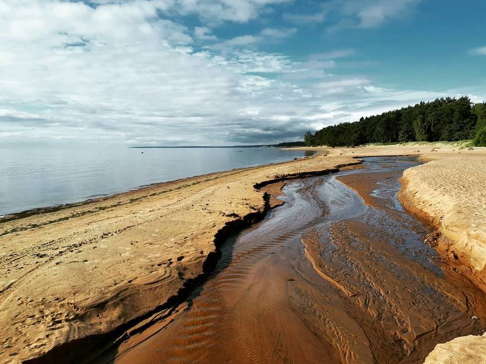 Разлив на заливе