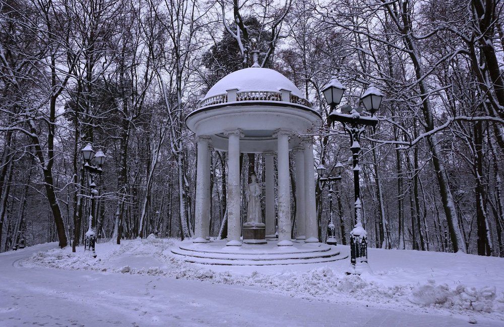 Монохромный пейзаж ...