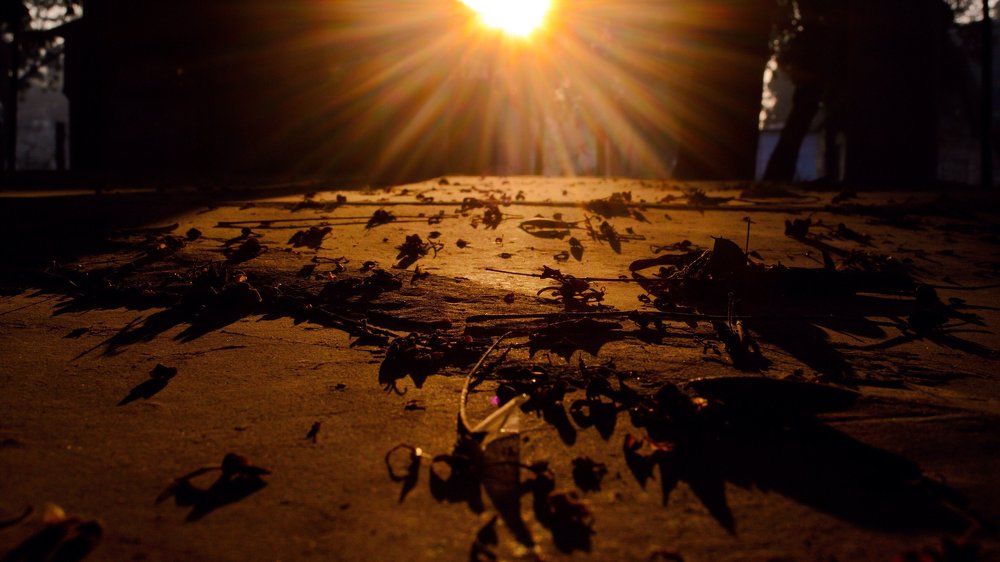 Light and shadows