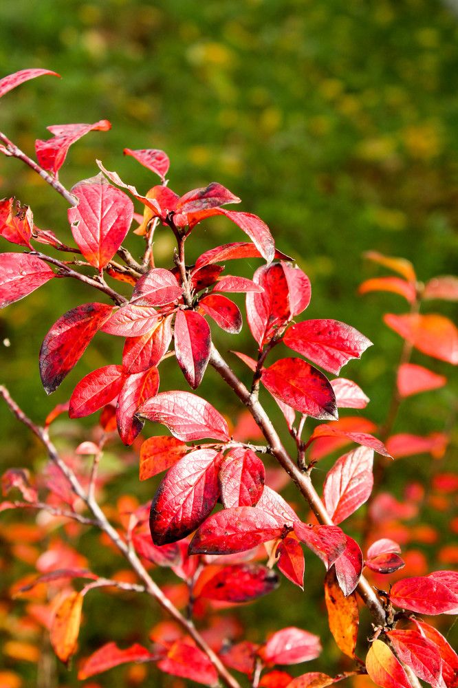 Photograph by Andrejs Peculevics