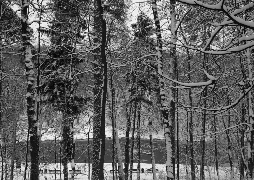 Тишина в морозной дымке ...