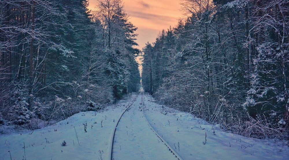 Перспектива