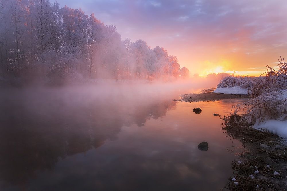 Нежный рассвет