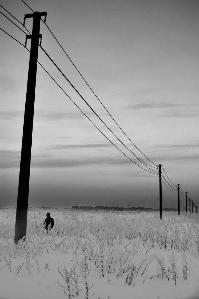 On The Lines