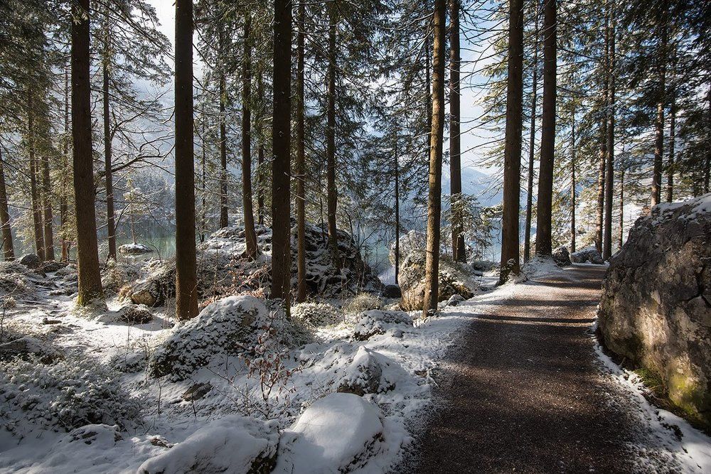 Фотография автора Сергей Сынтин