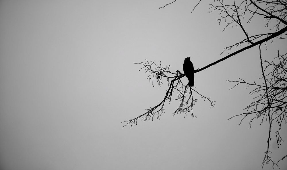 Одиночество