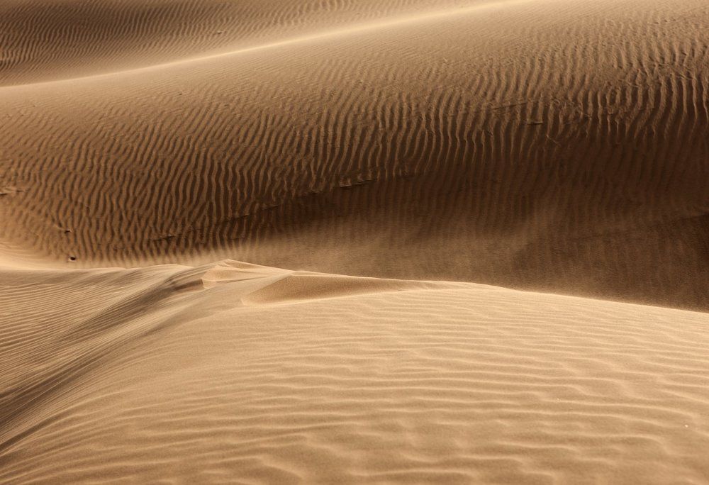 Ветер пустыни