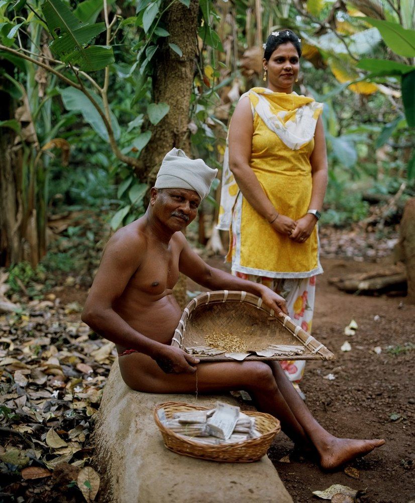 На плантации