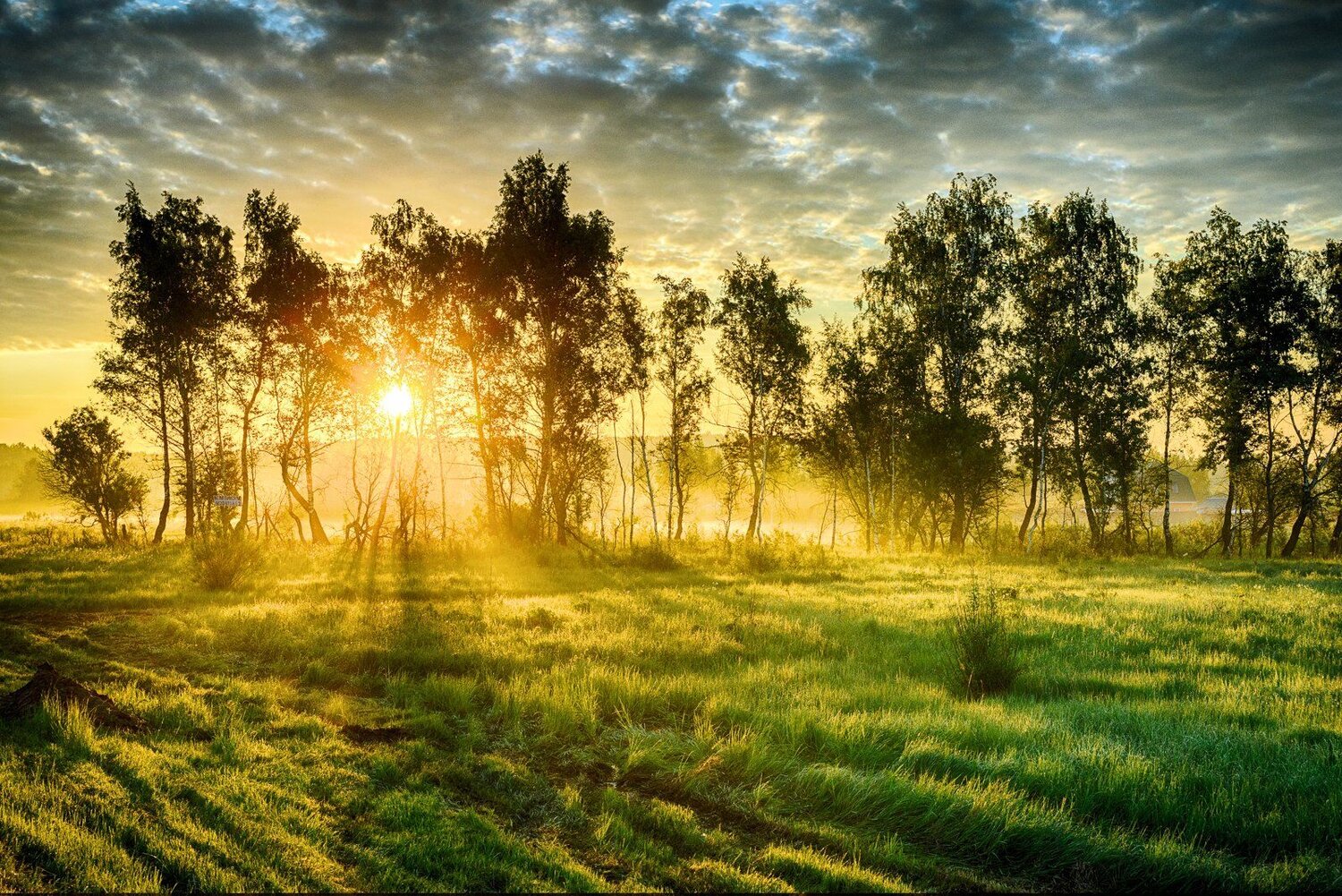 Рассвет
