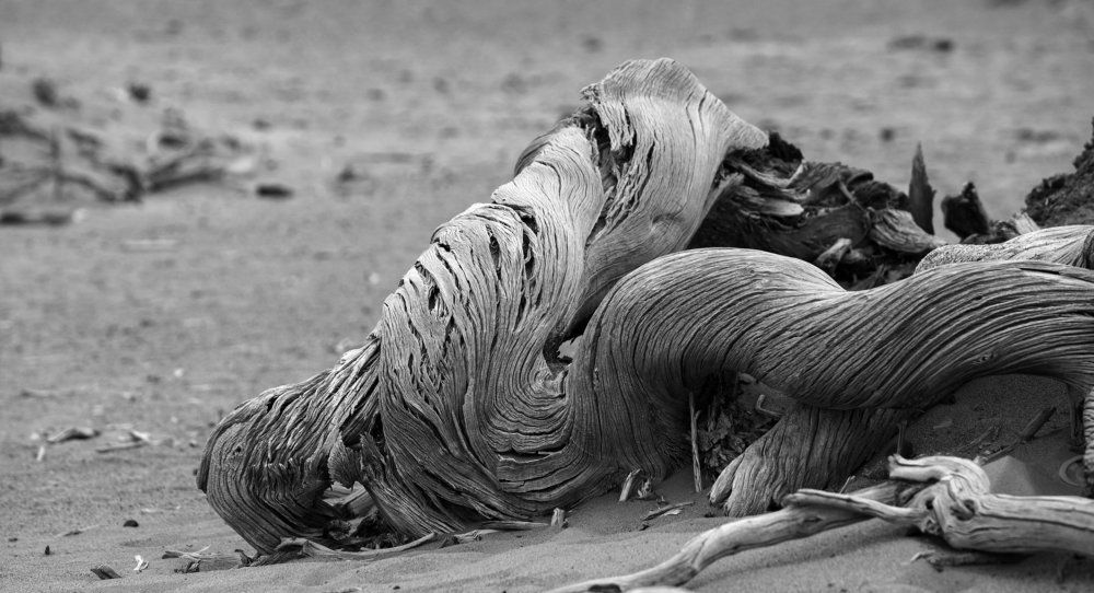 Линии жизни