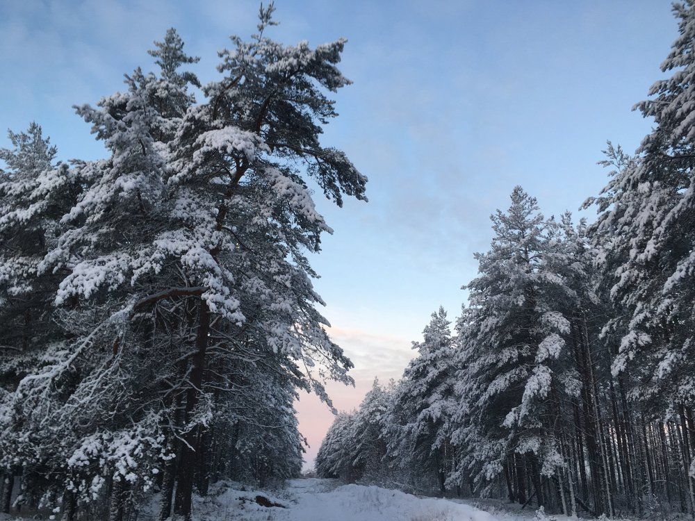 Зима , Псков!