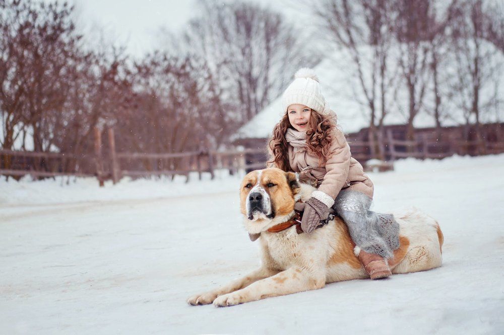 С другом веселее