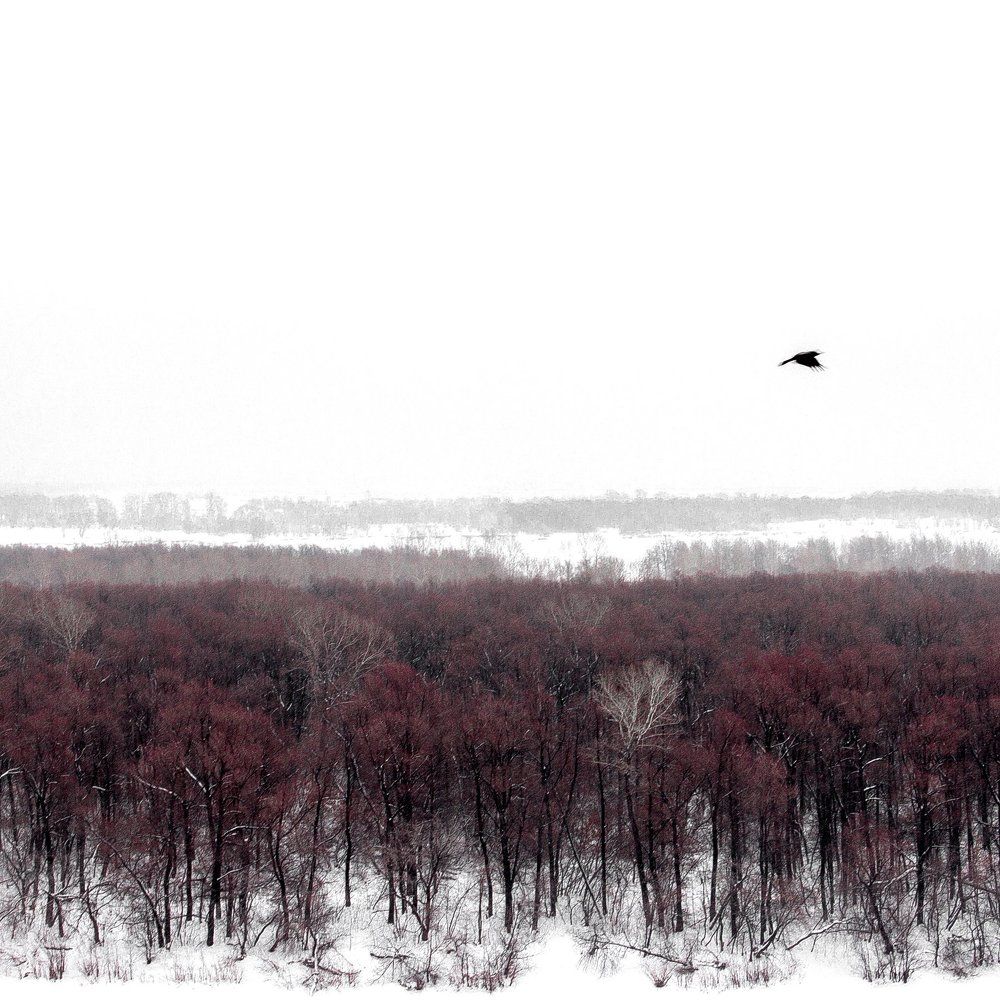 Photograph by Дементьев Виталий