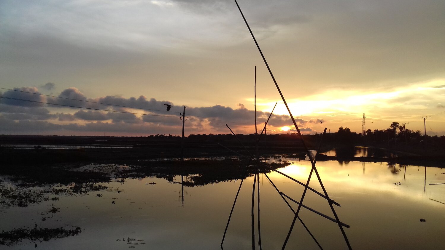 Lonely twilight