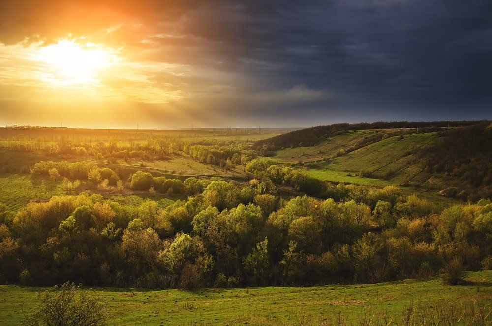 Свет сквозь тьму