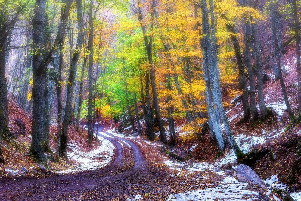 По Крымскому заповеднику