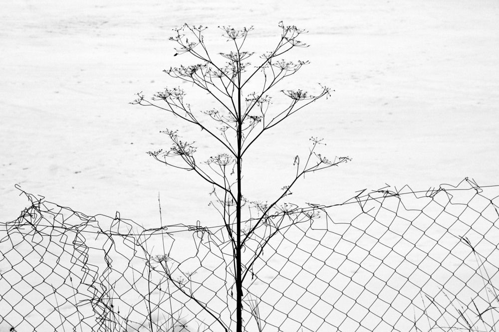 Photograph by Андрей Кульков