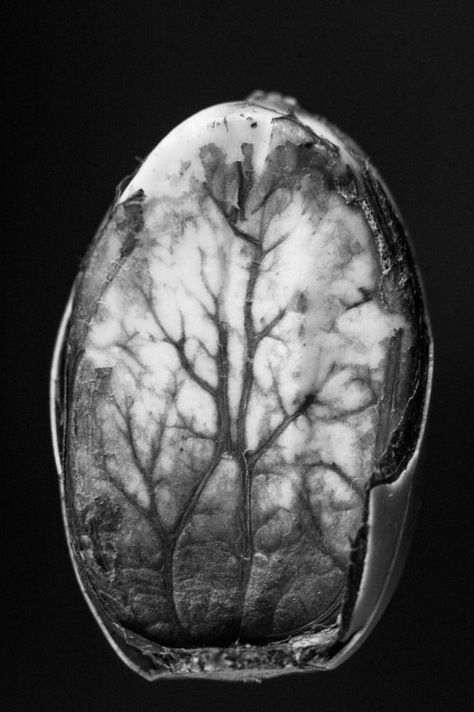 Photograph by Андрей Кульков