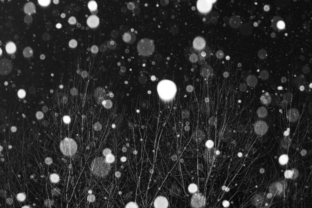 Photograph by Андрей Кульков