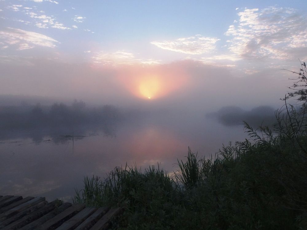 Нежное утро