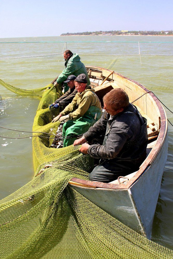Промысел бычка