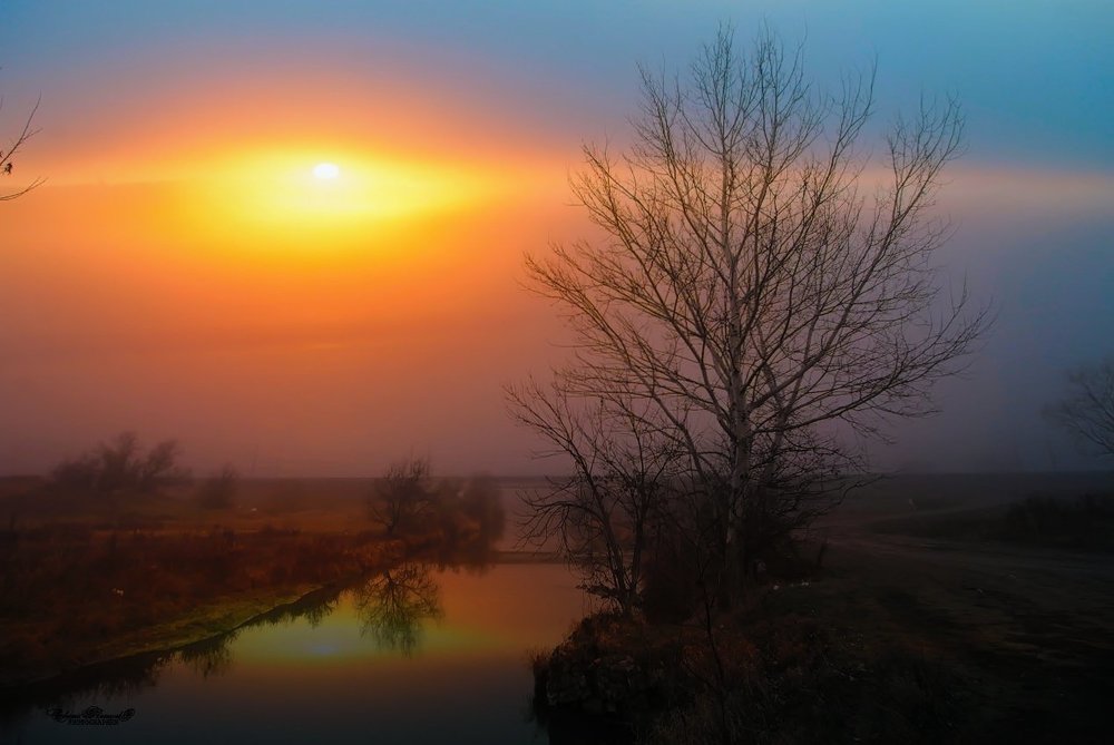 туманный вечер