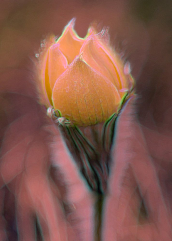 Весенний цветочек