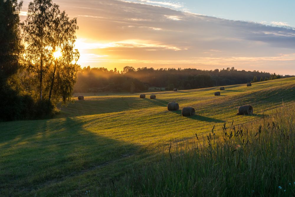 Лето в деревне