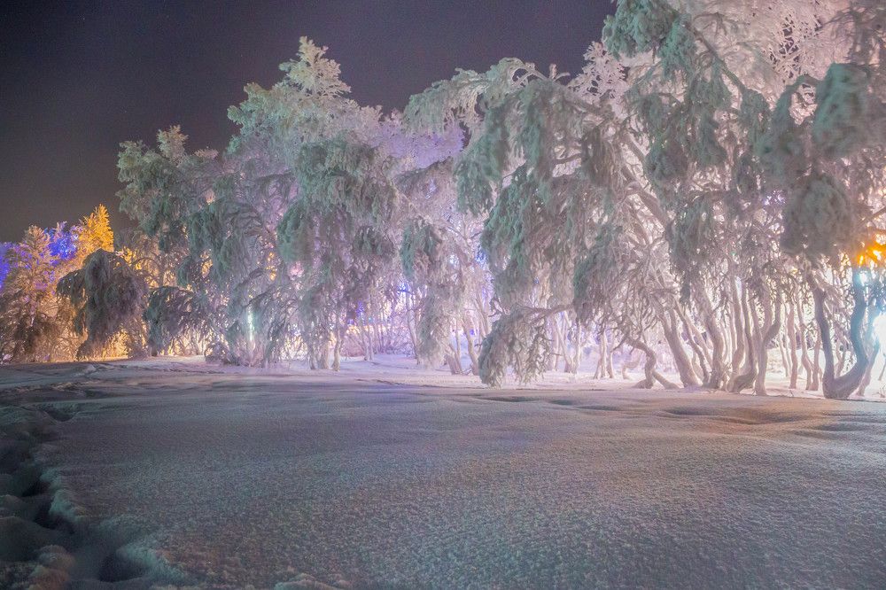 Photograph by Антон