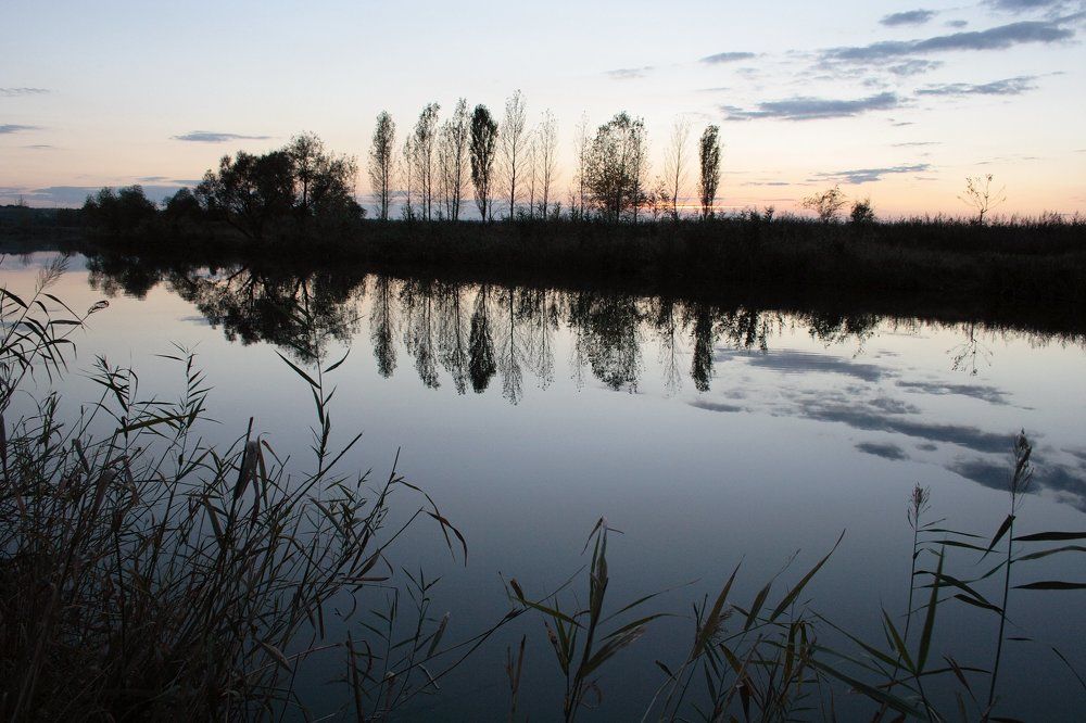 Фотография автора Владимир