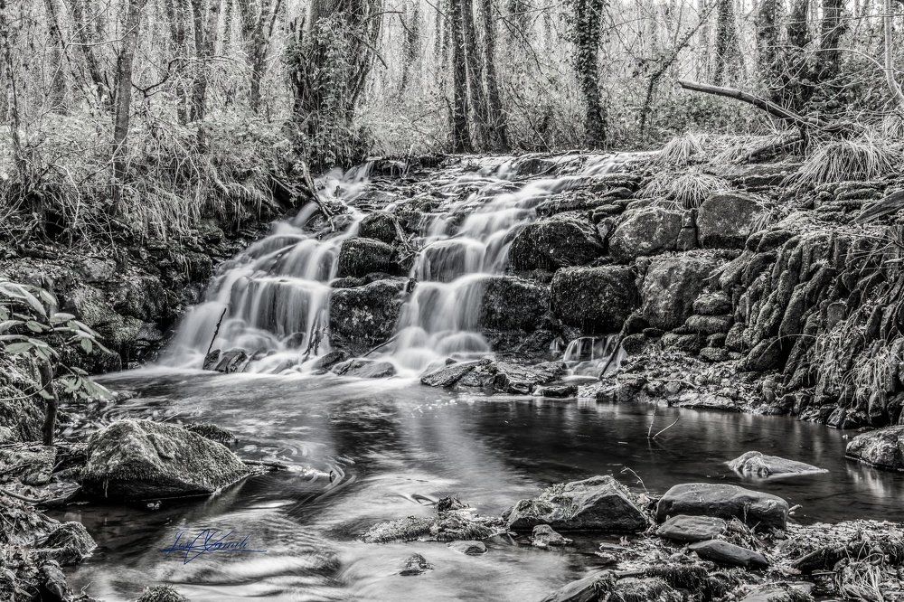 Photograph by José Camilo