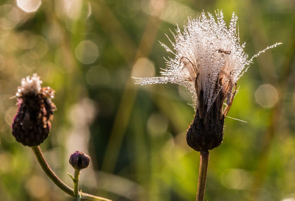 С добрым утром!