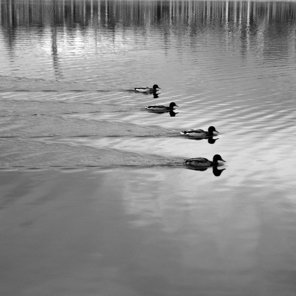 Walk On Water