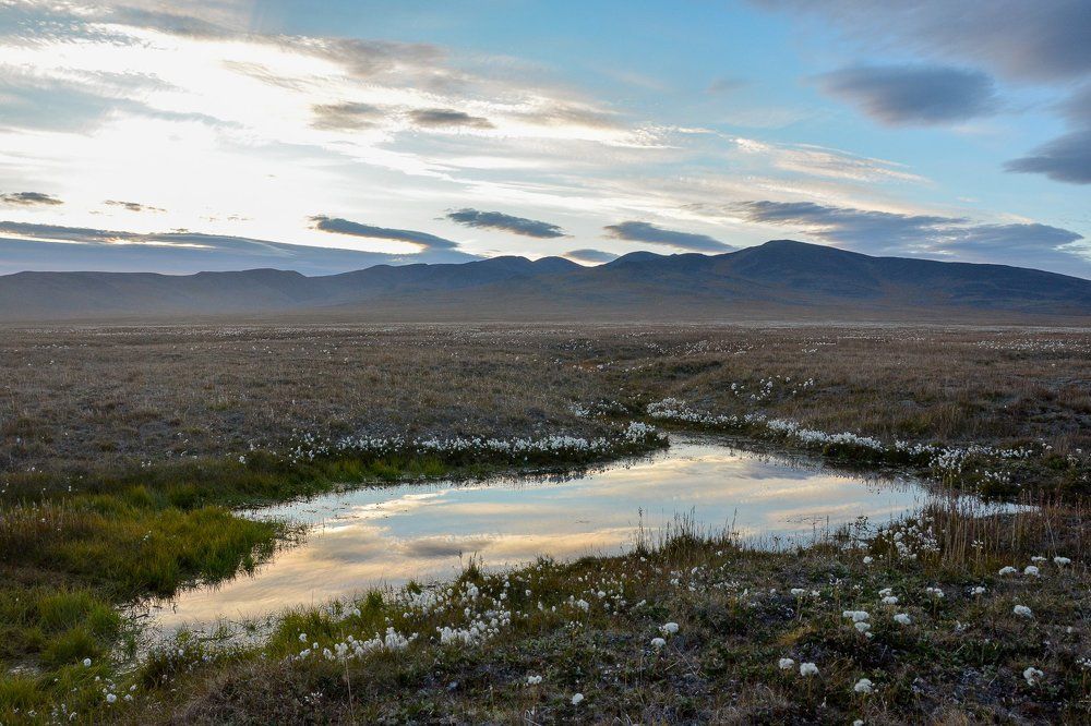 Фотография автора Александр