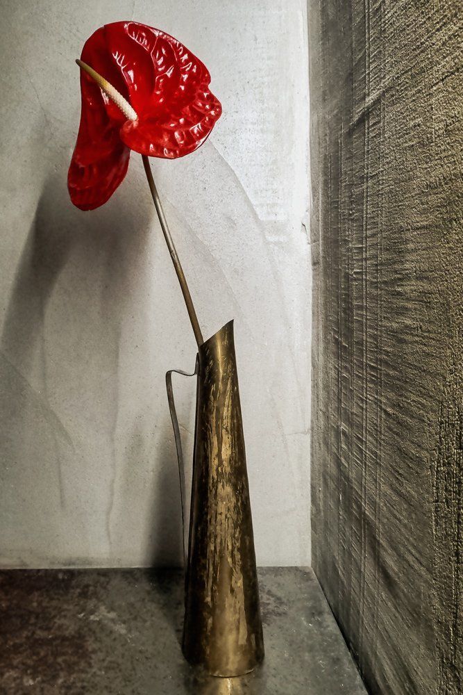 Гордость одиночества