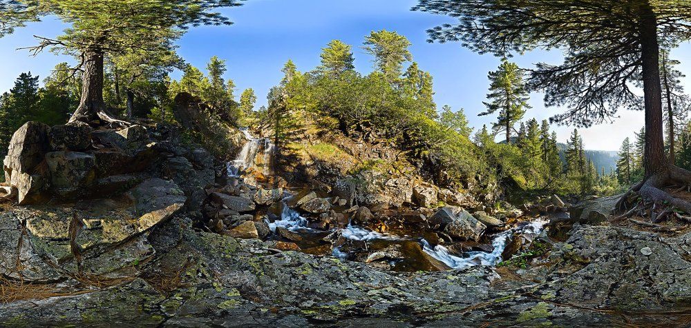 Укрывшийся в тени